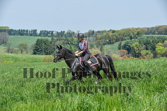 CheshireSpringPC1(4-28-24)0486