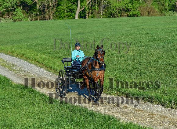 ChesapeakeSpring(4-27-25)0037