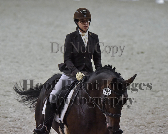 CWdressageII(8-21-16)2083