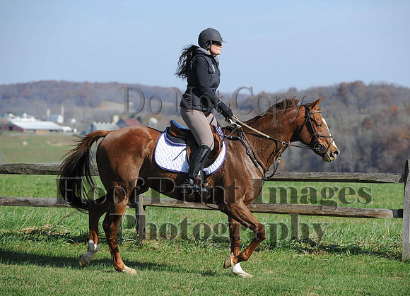 AndrewsBr(11-9-14)0037