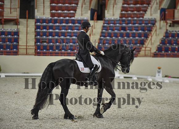 CWdressageI(8-20-16)1653