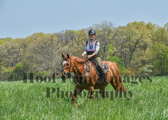 CheshireSpringPC1(4-28-24)0278