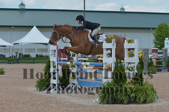 BRSa(5-17-14)HChAdJ0143