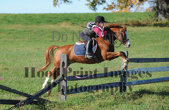 Cheshire(10-19-14)0524
