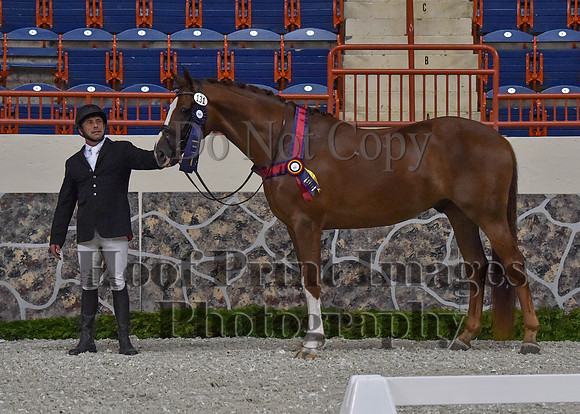 CWdressageII(8-21-16)1391