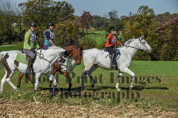 CheshirePC(10-18-20)0577