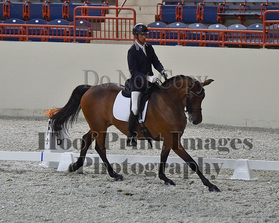 CWdressageII(8-21-16)2280