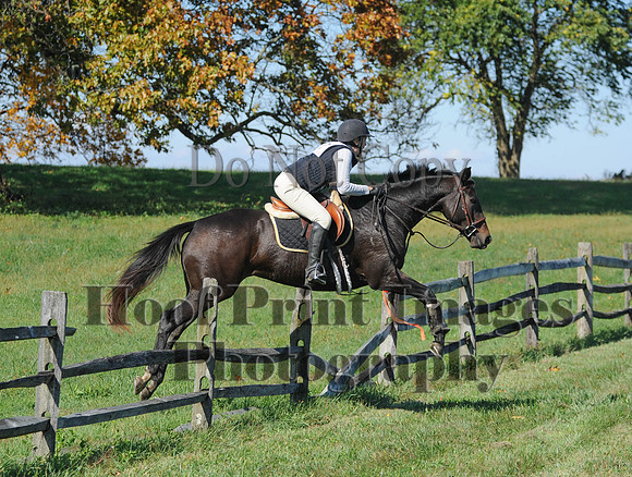 Cheshire(10-20-13)0138