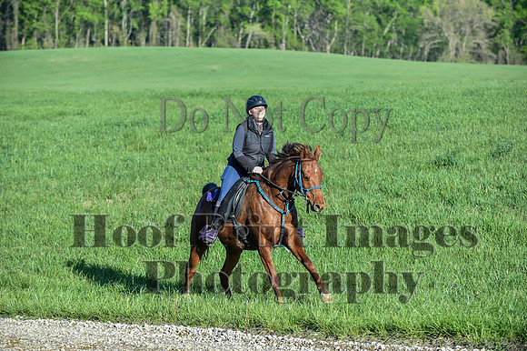 ChesapeakeSpring(4-27-25)0145