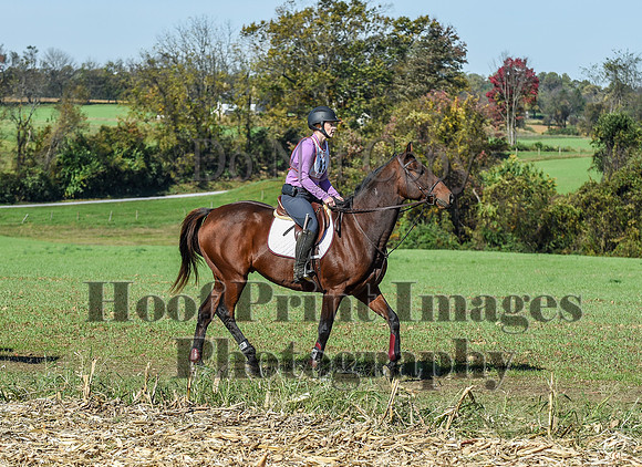 CheshirePC(10-18-20)0463
