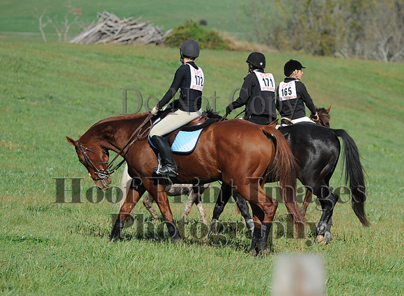 Cheshire(10-20-13)0637
