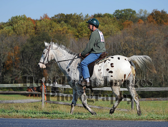 Cheshire(10-20-13)0539