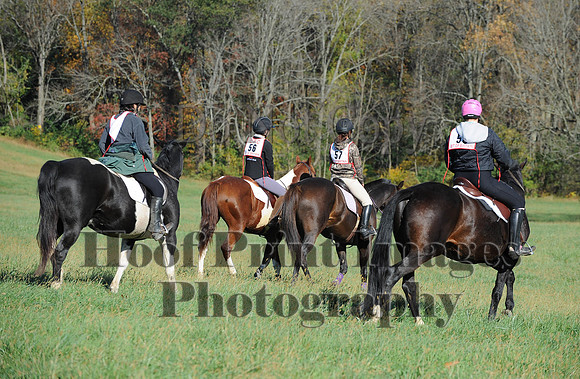 Cheshire(10-19-14)0455