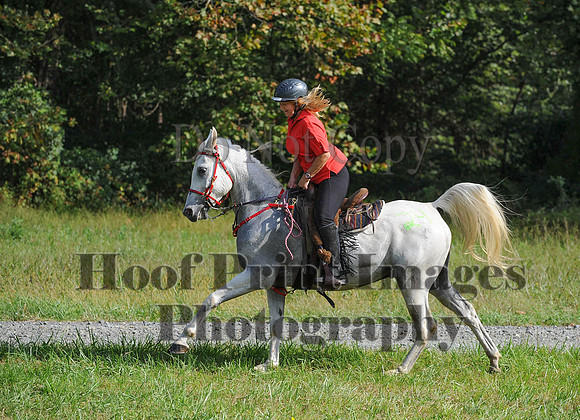 ChesapeakeCTR(9-20-14)0331