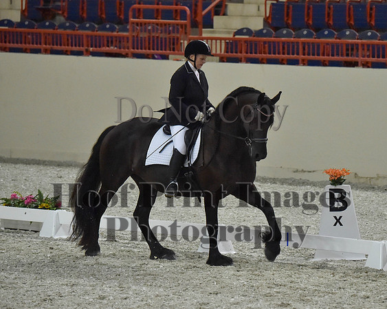 CWdressageII(8-21-16)2195
