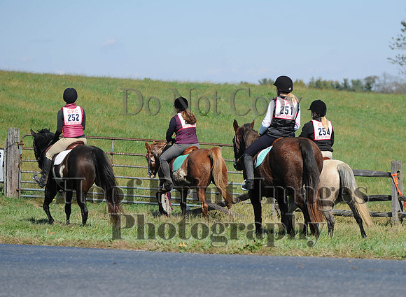 Cheshire(10-20-13)0064