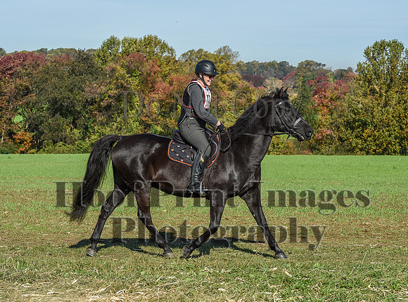 CheshirePC(10-18-20)0192
