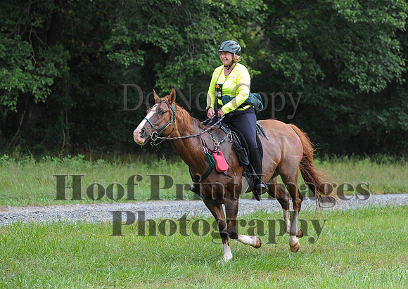 ChesapeakeCTR(9-20-14)0471