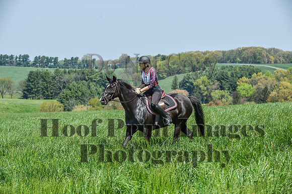 CheshireSpringPC1(4-28-24)0485