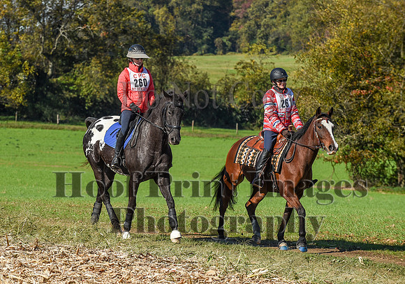 CheshirePC(10-18-20)0340