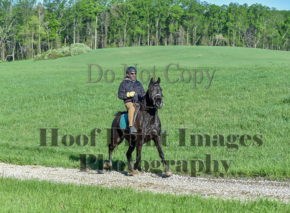 ChesapeakeSpring(4-27-25)0220