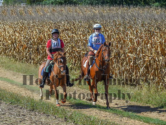 CheshirePonyClubPC(10-6-24)0635
