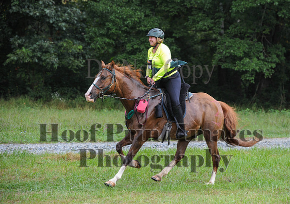 ChesapeakeCTR(9-20-14)0473