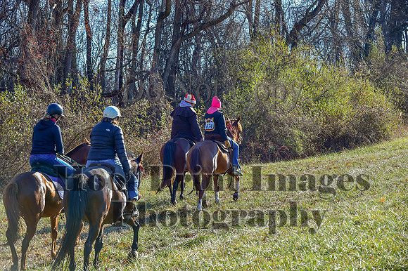 FairHillFallPC(11-30-24)0415