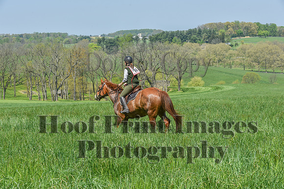 CheshireSpringPC1(4-28-24)0290