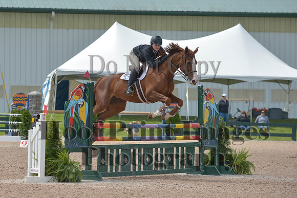 BRSa(5-17-14)HChAdJ0202