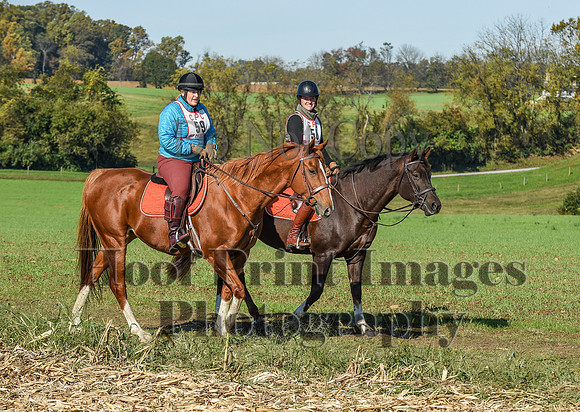 CheshirePC(10-18-20)0204