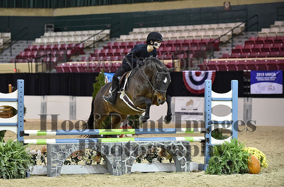 MidAtEqFest(11-14-15)1754
