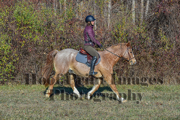 FairHillFallPC(11-30-24)0185