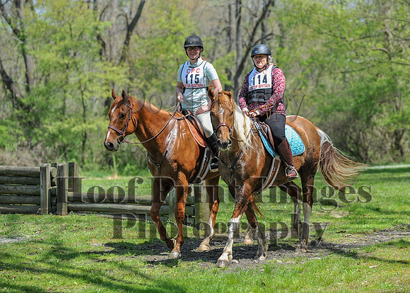 CheshireSpringPC2(4-28-24)0584