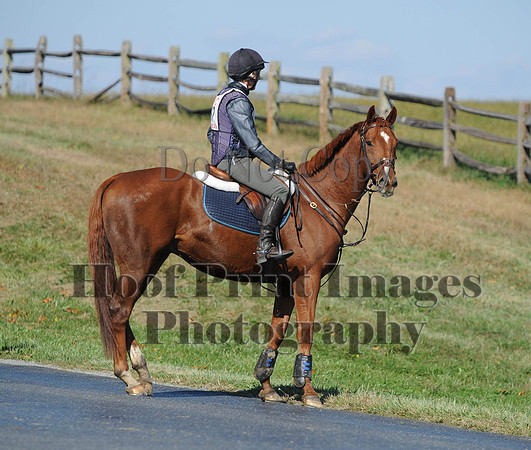 Cheshire(10-20-13)0303