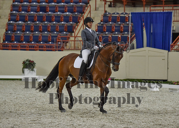 CWdressageI(8-20-16)1158