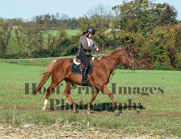 CheshirePC(10-18-20)0038