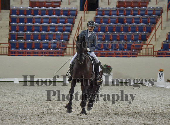 CWdressageI(8-20-16)1235