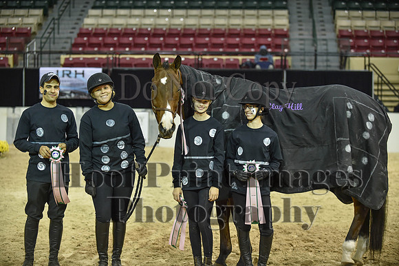 MidAtEqFest(11-14-15)1833