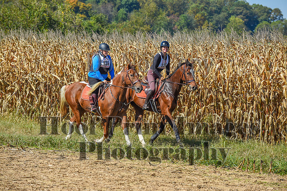 CheshirePonyClubPC(10-6-24)0560