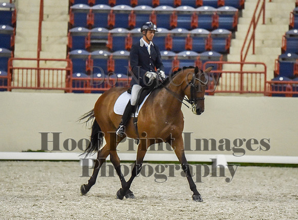 CWdressageI(8-20-16)1358