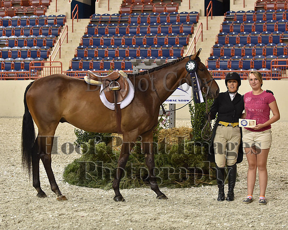HarrisburgHS(8-23-15)1289