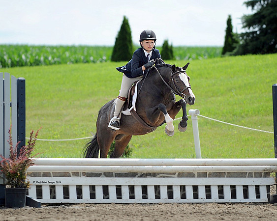 SC(6-28-14)SMPony0035 Final