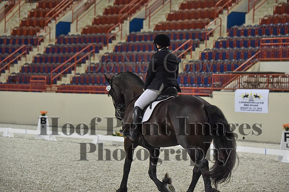 CWdressageI(8-20-16)0904