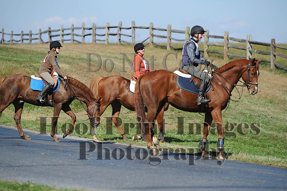 Cheshire(10-20-13)0305