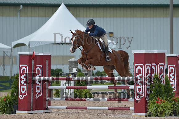 BRSa(5-17-14)HChAdJ0214