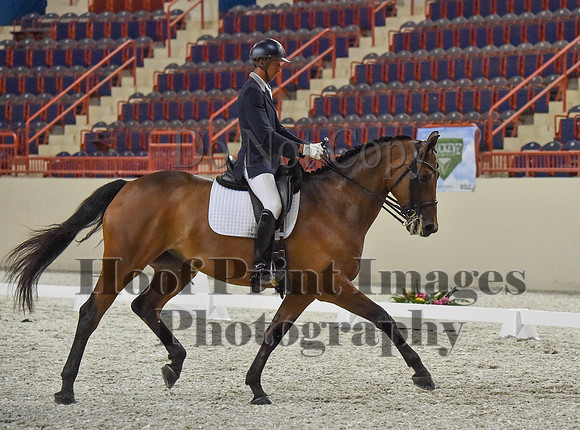 CWdressageI(8-20-16)1351