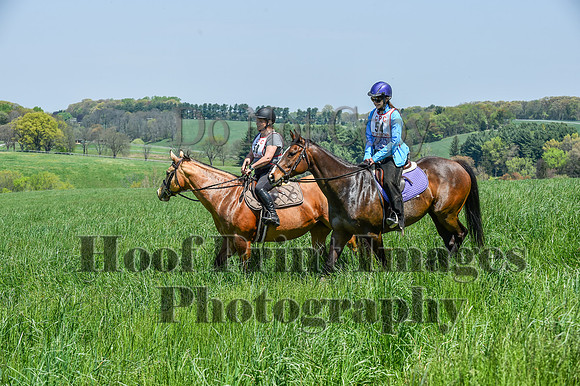 CheshireSpringPC1(4-28-24)0476