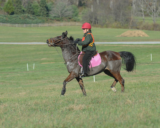 BHPC(11-15-15)0705