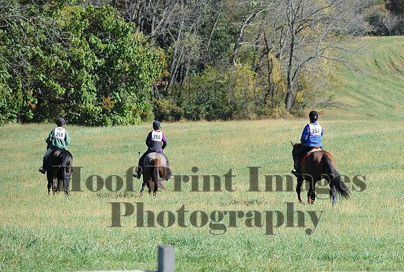 Cheshire(10-19-14)0069